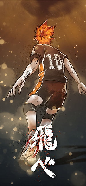 Hinata Shoyo Haikyuu Anime Volleyball Player Artwork HD phone wallpaper