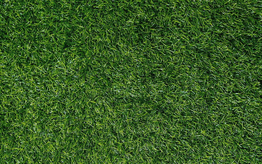 Vibrant Green Grass Texture Close-Up for Natural Backgrounds HD wallpaper
