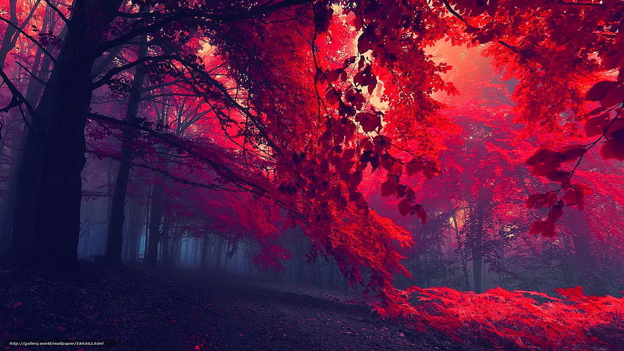 Misty Autumn Forest Path With Vibrant Red Foliage And Dark Tree Silhouettes HD wallpaper