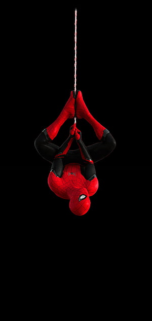 Spider-Man Hanging Upside Down on Web Against Black Background, Spiderman Dot Notch, dot display HD phone wallpaper