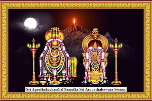 Sri Apeethakuchambal and Sri Arunachaleswara Swamy Temple Artwork with Golden Frame HD wallpaper