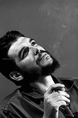 Che Guevara Black and White Portrait with Cigar HD phone wallpaper