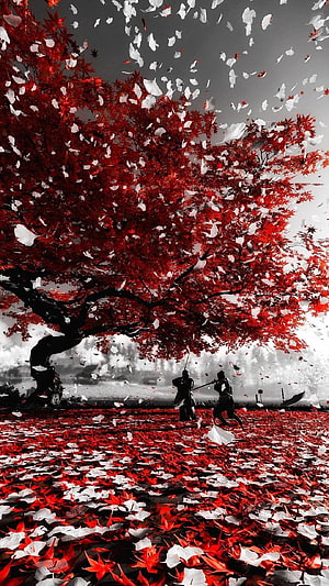 Ghost of Tsushima Samurai Duel Under Crimson Maple Tree HD phone wallpaper