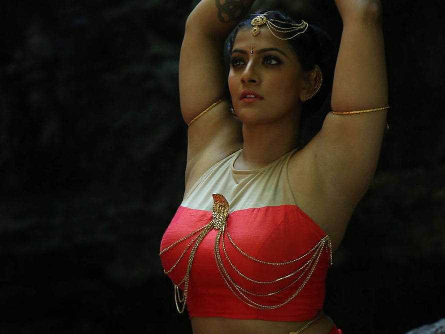 Varalaxmi Sarathkumar in Traditional Indian Dance Attire with Gold Jewelry HD wallpaper