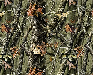 Realtree Camouflage Seamless Pattern with Oak Leaves and Tree Branches HD wallpaper