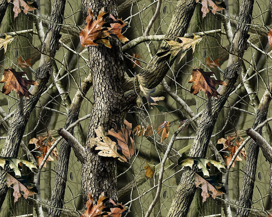 Realtree Camouflage Seamless Pattern with Oak Leaves and Tree Branches HD wallpaper