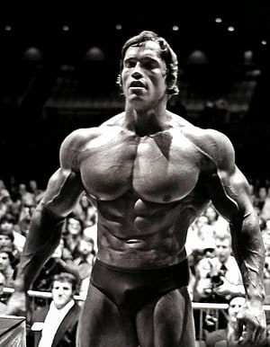 Arnold Schwarzenegger Classic Bodybuilding Pose Black And White Photo HD phone wallpaper