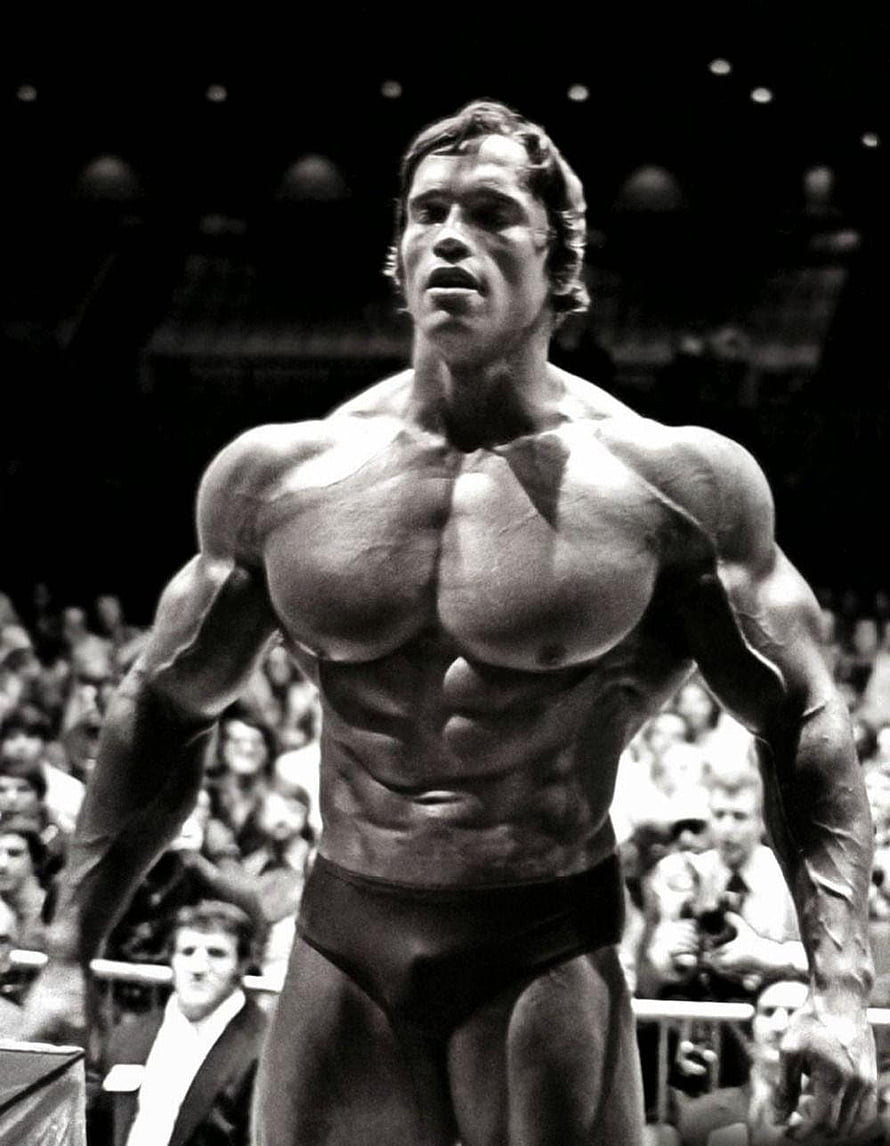 Arnold Schwarzenegger Classic Bodybuilding Pose Black And White Photo HD phone wallpaper