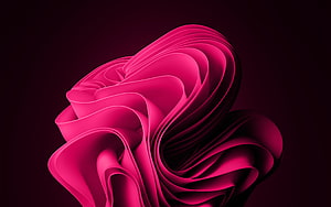 Windows 11 Default Wallpaper Abstract Pink Ribbon Sculpture on Dark Background HD wallpaper