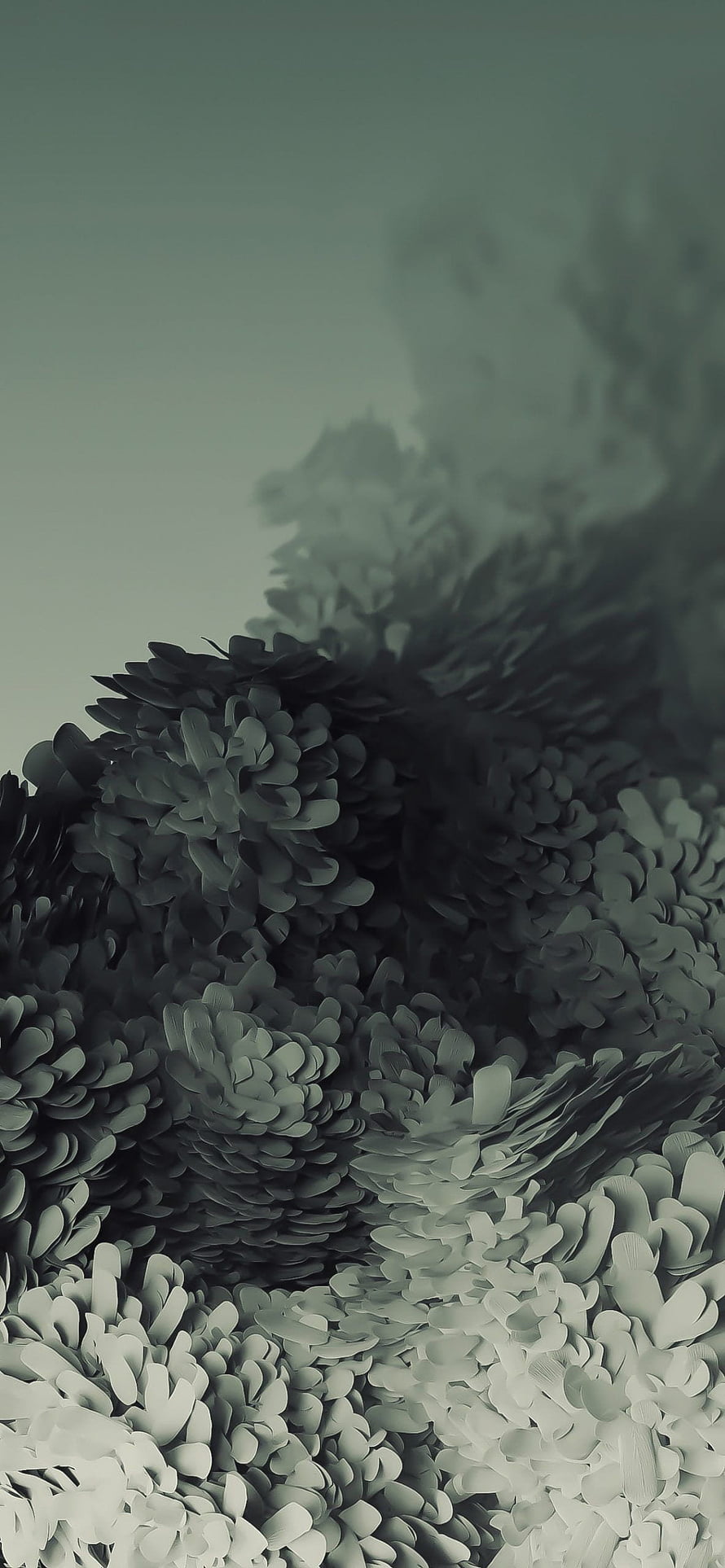 Abstract Monochrome Floral Texture With Layered Petals And Soft Gradient Background HD phone wallpaper