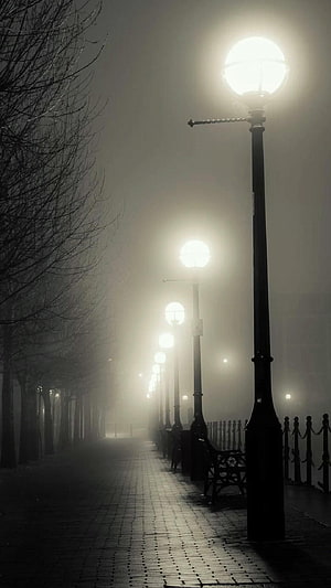 Atmospheric Foggy Night Street With Glowing Vintage Lamps And Bare Trees HD phone wallpaper