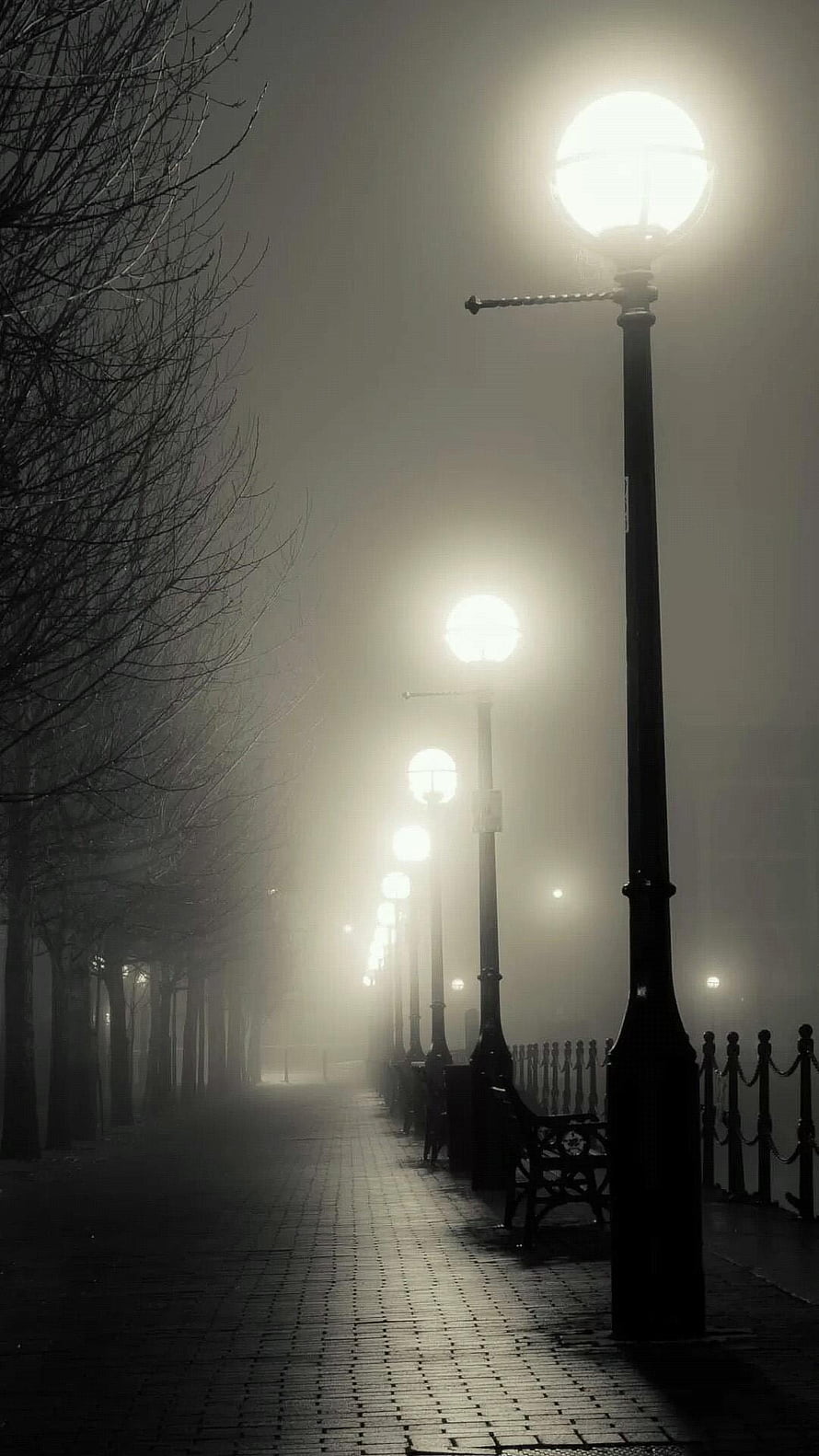 Atmospheric Foggy Night Street With Glowing Vintage Lamps And Bare Trees HD phone wallpaper