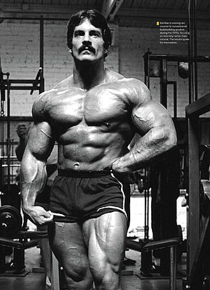 Arnold Schwarzenegger Classic Bodybuilding Pose in Vintage Gym Black and White Photo HD phone wallpaper