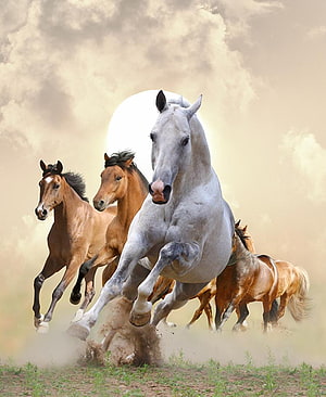 Dynamic Herd of Galloping Horses Running Across a Dusty Field Under a Bright Sun HD phone wallpaper