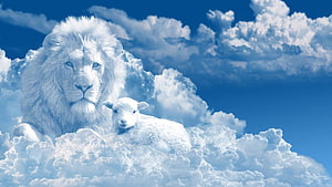 White Lion and Lamb Resting on Clouds in Blue Sky HD wallpaper