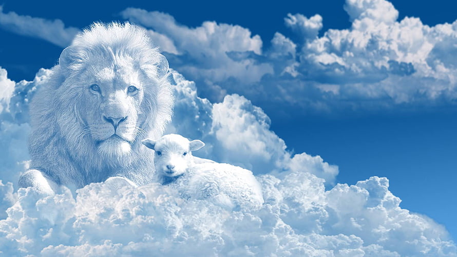 White Lion and Lamb Resting on Clouds in Blue Sky HD wallpaper
