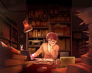 Anime Boy Studying Late at Night in a Cozy Library with Warm Lamp Light HD wallpaper
