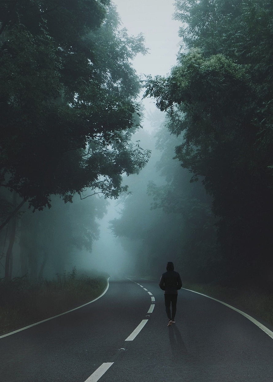 Solitary figure walking down a misty forest road at dawn HD phone wallpaper