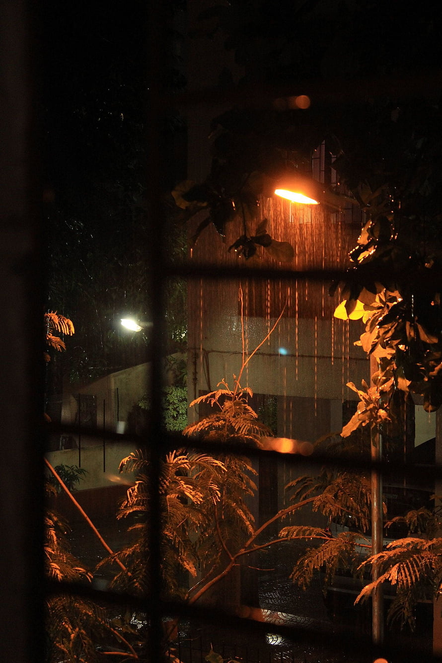 Moody Rainy Night View Through Window with Warm Streetlight and Lush Foliage HD phone wallpaper