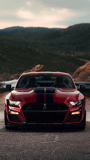Red Ford Mustang Shelby GT500 Front View on Mountain Road at Dusk HD phone wallpaper