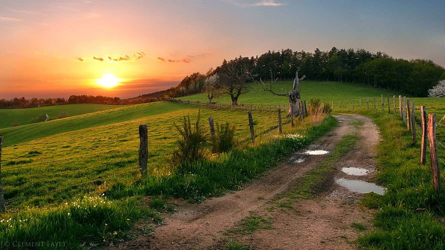 Rural Countryside Path at Golden Hour with Rolling Green Hills and Wooden Fence HD wallpaper