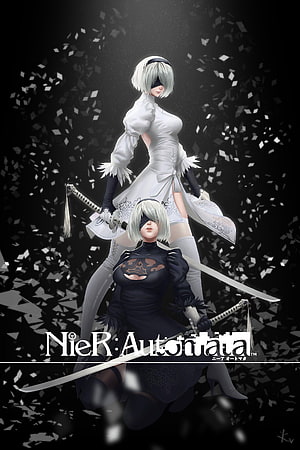 NieR Automata 2B and 9S Dual Character Artwork with Swords and Shattered Glass HD phone wallpaper