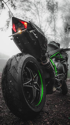 Kawasaki Ninja sport bike rear view with green frame in foggy forest setting HD phone wallpaper