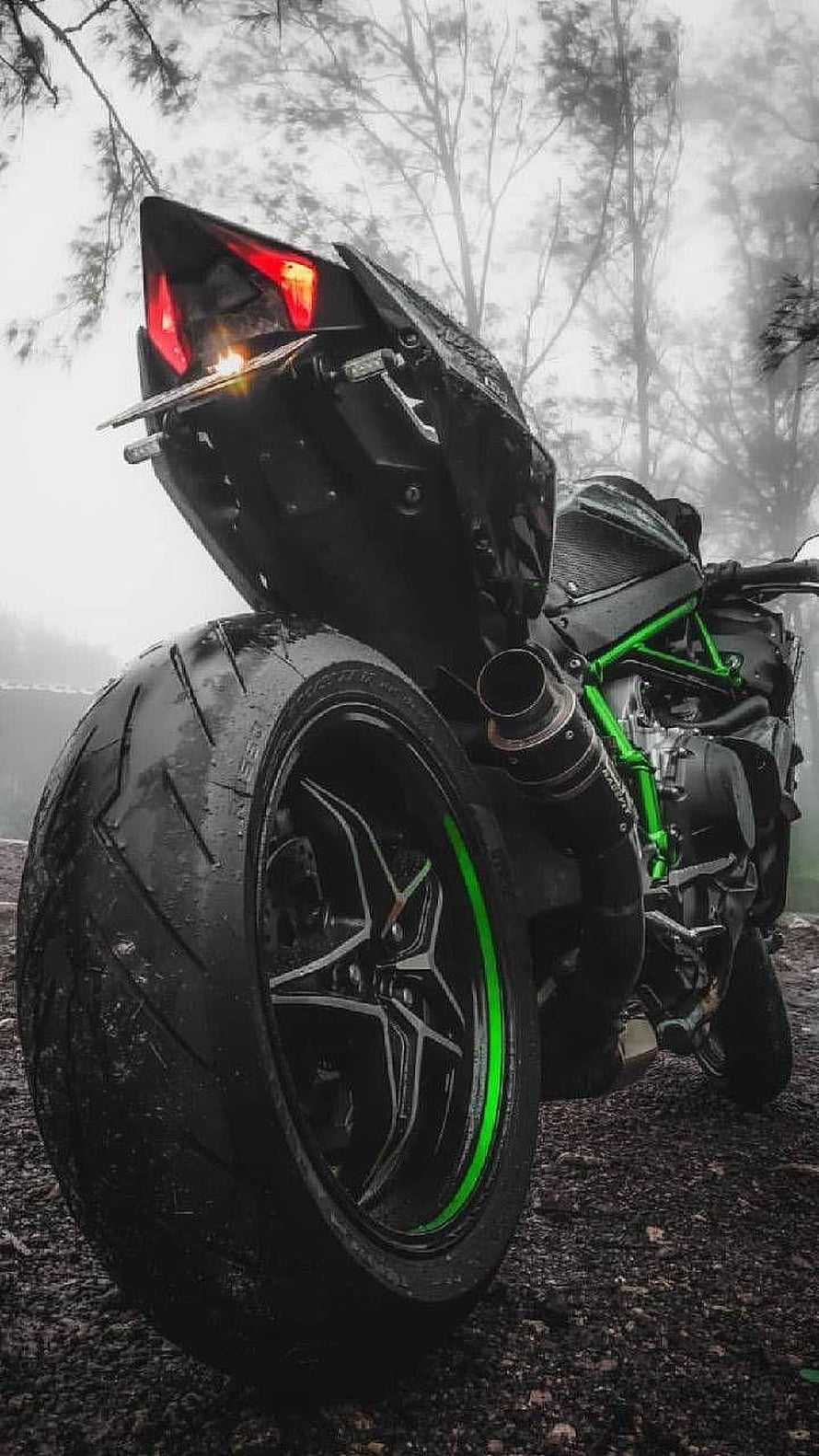 Kawasaki Ninja sport bike rear view with green frame in foggy forest setting HD phone wallpaper