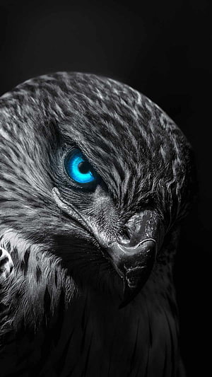 Close-up portrait of a majestic eagle with glowing blue eyes and dark feathers HD phone wallpaper