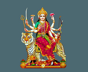 Goddess Durga Sitting on Tiger with Weapons and Lotus Flower HD wallpaper