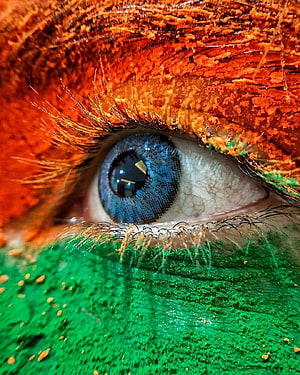 Close-up of a blue eye with vibrant orange and green powder makeup HD phone wallpaper