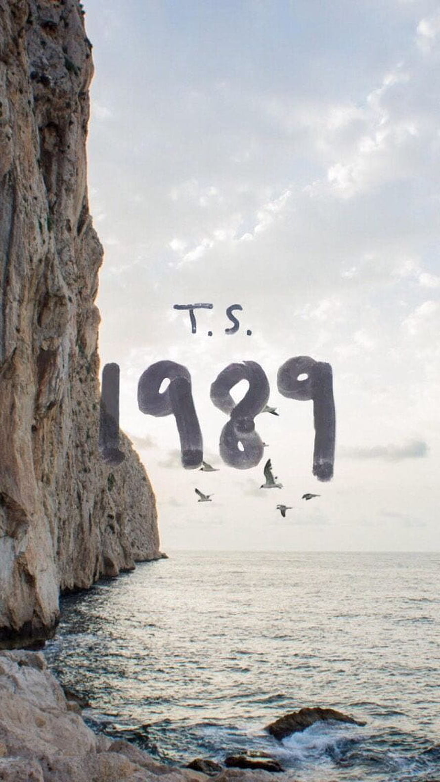 Taylor Swift 1989 Album Artwork with Coastal Cliff and Seagulls HD phone wallpaper