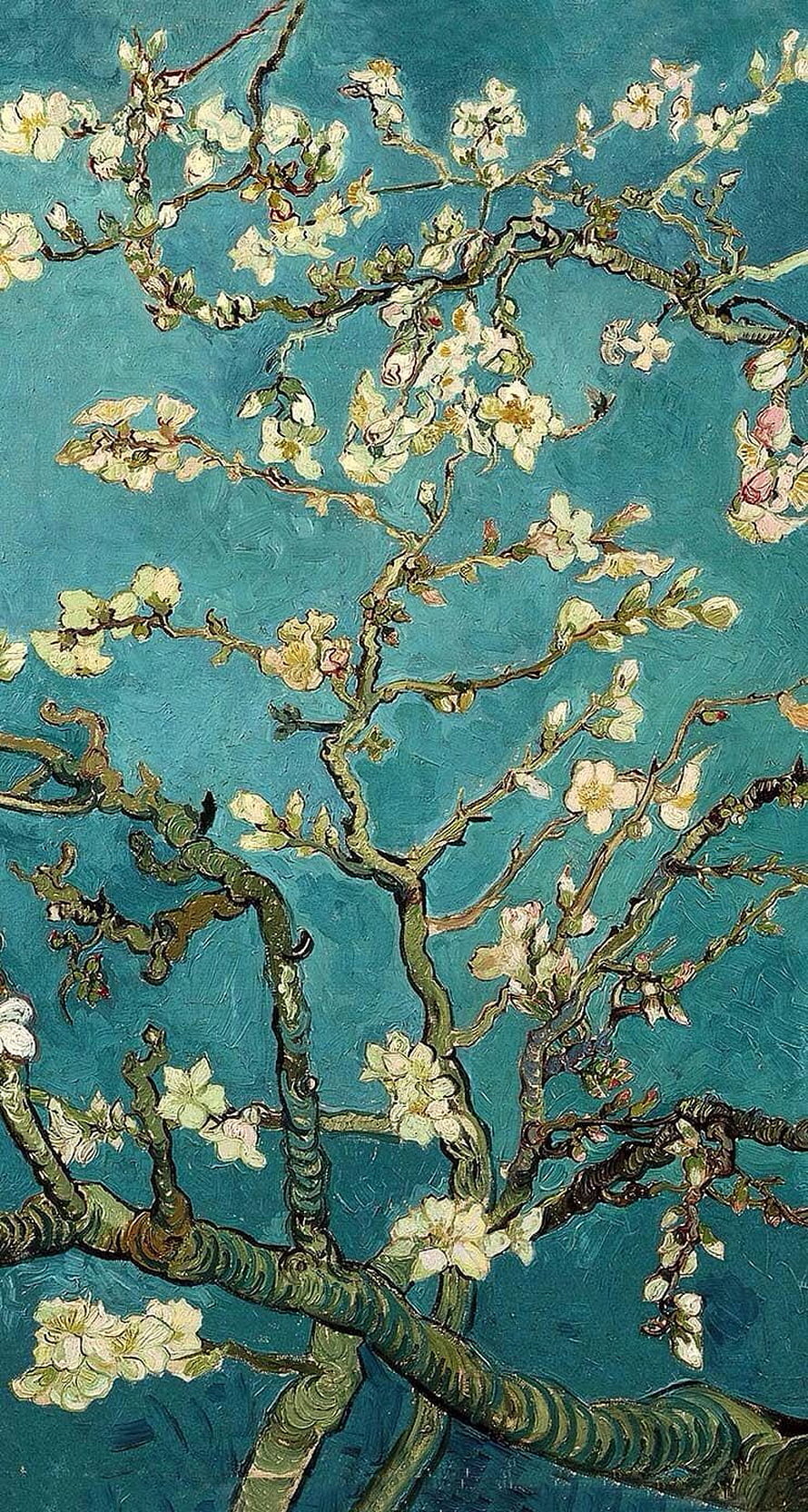 Vincent van Gogh Almond Blossom Oil Painting with Turquoise Background HD phone wallpaper