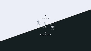 Minimalist Life and Death Concept with White Flowers on Diagonal Black and White Background HD wallpaper