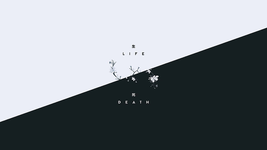 Minimalist Life and Death Concept with White Flowers on Diagonal Black and White Background HD wallpaper