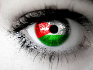 Close-up of a human eye with the Palestinian flag reflected in the iris, Alasan Israel Membunuh Anak, pejuang palestina HD wallpaper