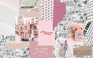 Pink Aesthetic Collage With Vintage Newspaper, Retro Telephone, And Cute Cat HD wallpaper