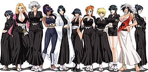 Bleach Female Soul Reapers Group Lineup in Traditional Black Shihakusho HD wallpaper