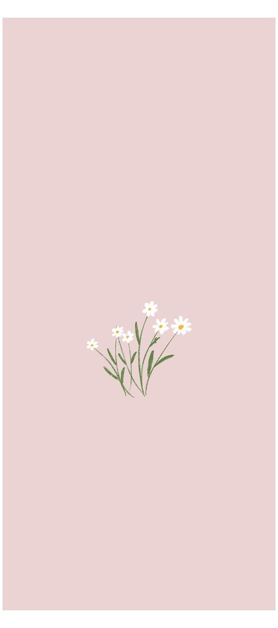 Minimalist Daisies on Soft Pink Background, Vintage Aesthetic Floral Illustration HD phone wallpaper