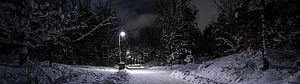 Snowy Park Pathway Illuminated by Streetlights at Night HD wallpaper