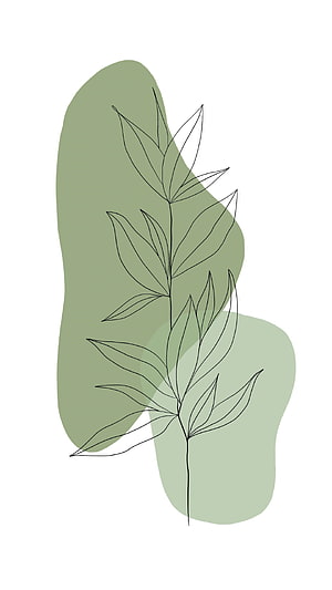 Minimalist Botanical Line Art with Sage Green Abstract Shapes HD phone wallpaper