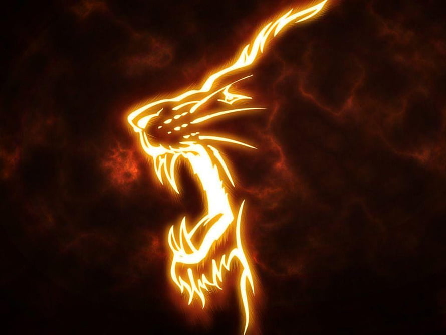 Fiery Dragon Head Silhouette Wallpaper HD wallpaper