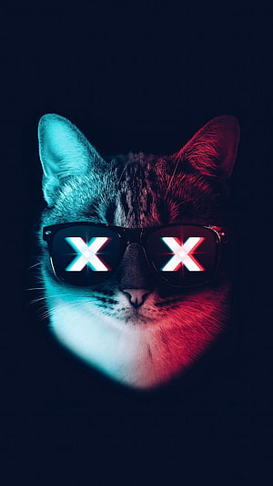 Cool Cat Wearing Sunglasses With Glowing X Reflections in Neon Red and Blue Light HD phone wallpaper