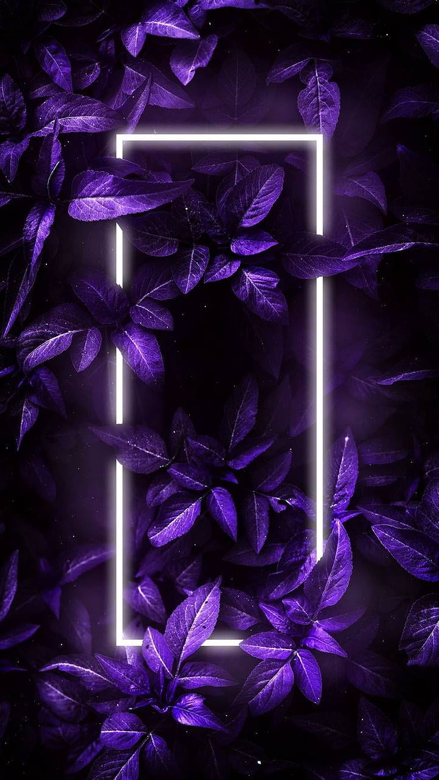 Glowing White Neon Rectangle Frame Surrounded by Dark Purple Leaves HD phone wallpaper