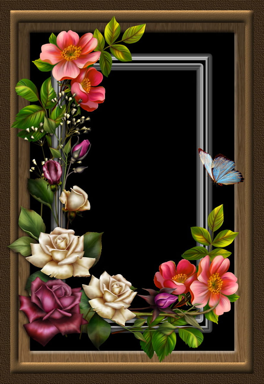 Elegant Floral Frame with Roses and Butterfly on Black Background HD phone wallpaper