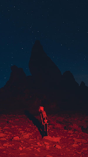 Phoebe Bridgers Punisher Album Art with Skeleton Figure Under Starry Night Sky HD phone wallpaper