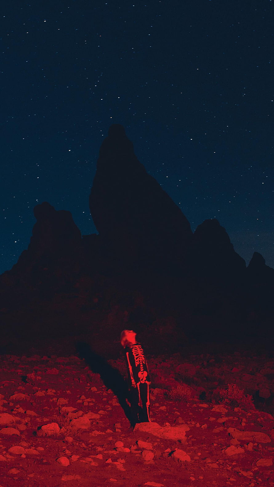 Phoebe Bridgers Punisher Album Art with Skeleton Figure Under Starry Night Sky HD phone wallpaper