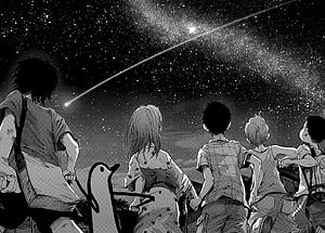 Anime characters watching a shooting star in the night sky with a goose HD wallpaper