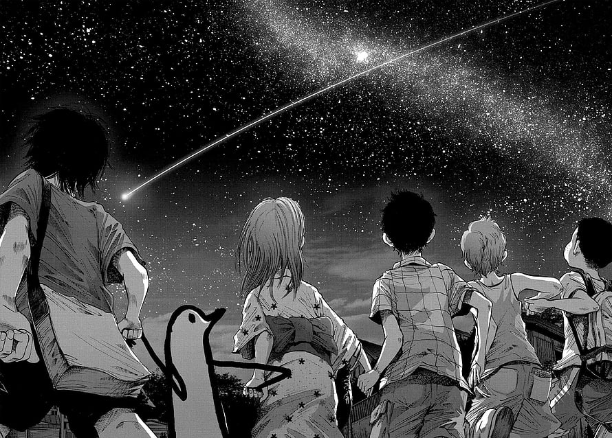Anime characters watching a shooting star in the night sky with a goose HD wallpaper