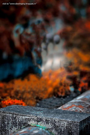 Moody Autumn Pathway with Rusty Metal Foreground and Blurred Orange Foliage HD phone wallpaper